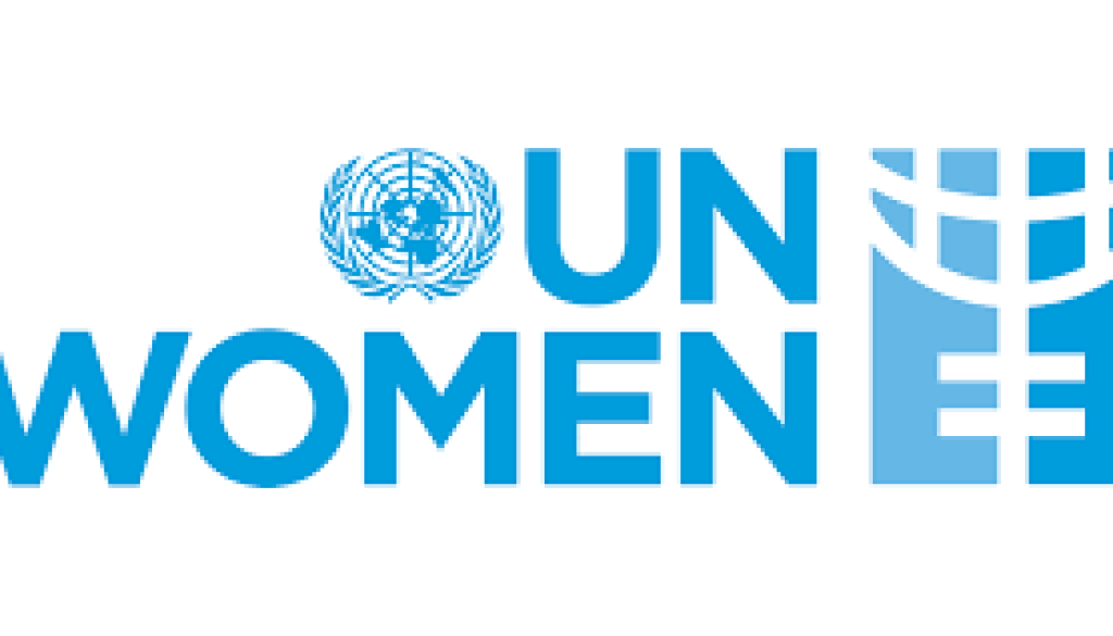 Women’s Political Participation (WPP) Programme Officer Vacancy-Job Ref: JKTNUNWOMEN/2006/202475